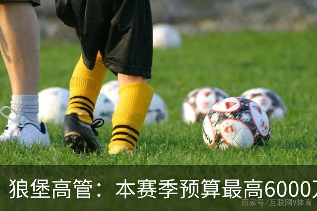 狼堡高管：本赛季预算最高6000万欧，力争完成在德乙的目标